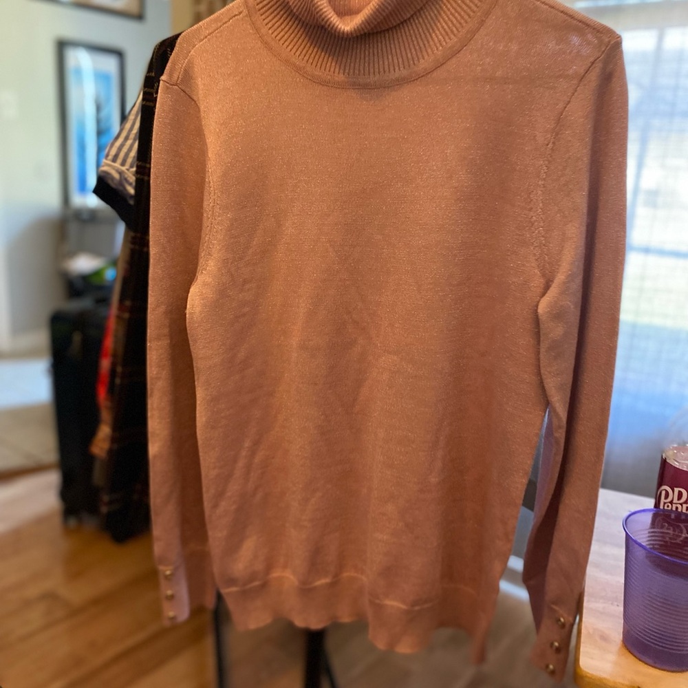 Chic Turtleneck Sweater in Shimmering Pink